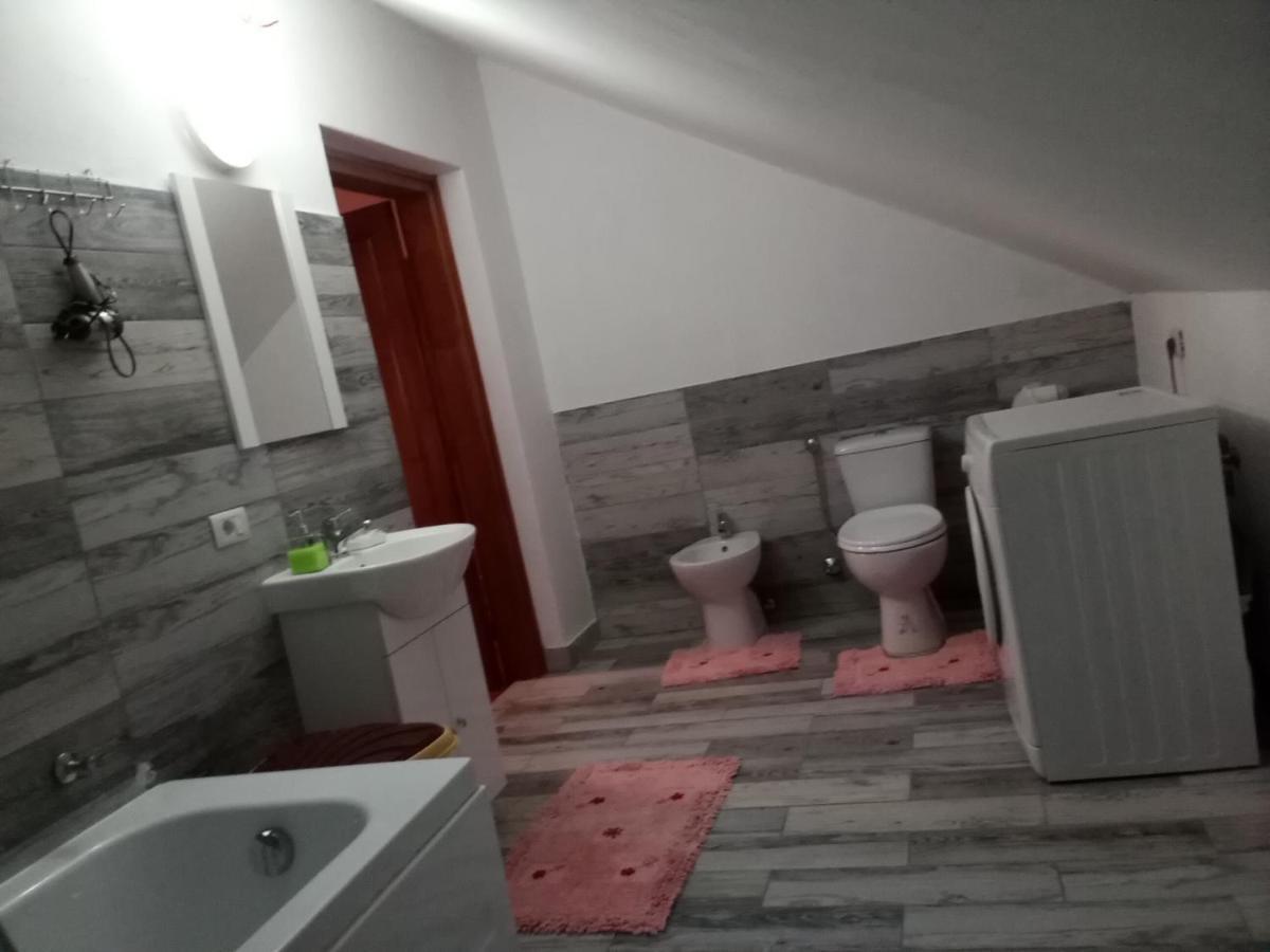 Hotel Casa Dana à Borşa Extérieur photo